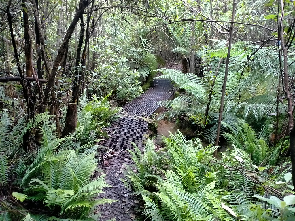 Canberra's best walking trails, rated by distance and difficulty