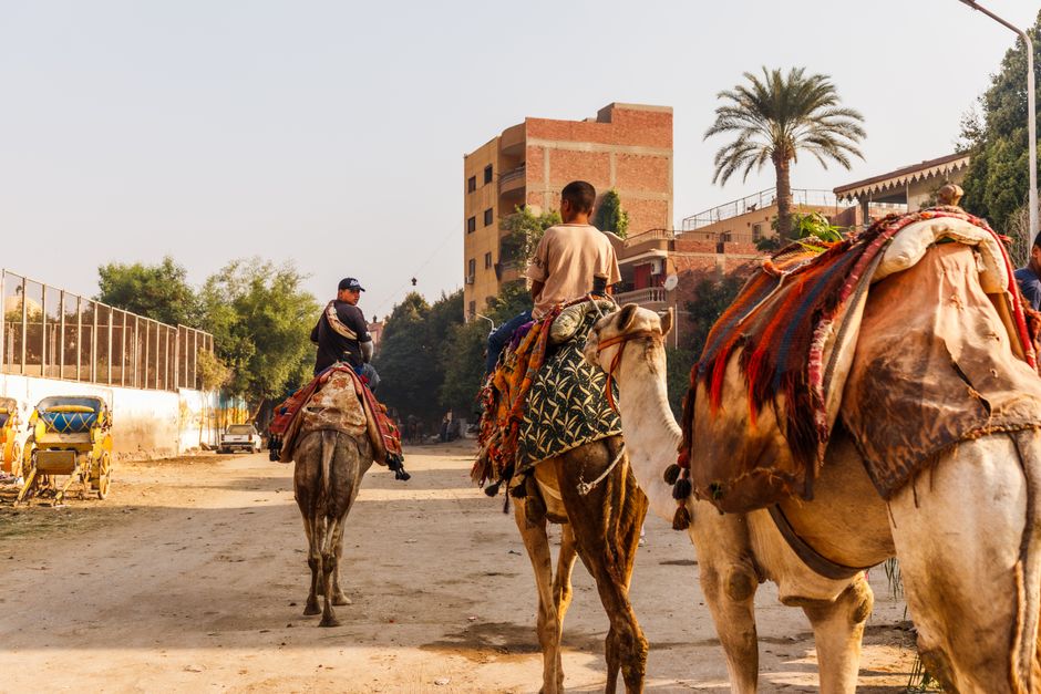 Cairo's Football Boom: What Rising Pitch Participation Numbers Reveal About Our City's Fitness Awakening