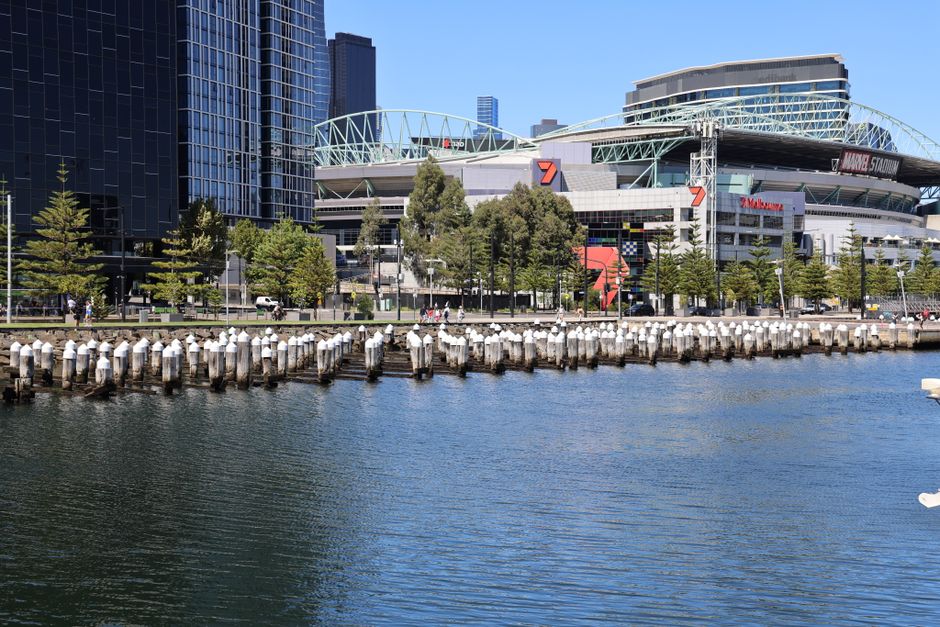 Newcastle Arena plans released as entertainment precinct gathers serious momentum