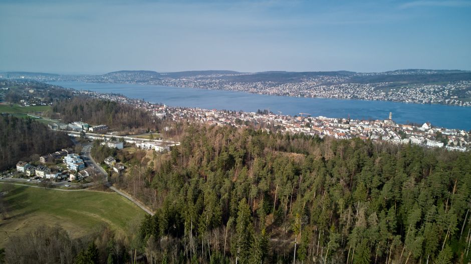 Breaking Into Zurich's Luxury Market: A First-Time Buyer's Roadmap