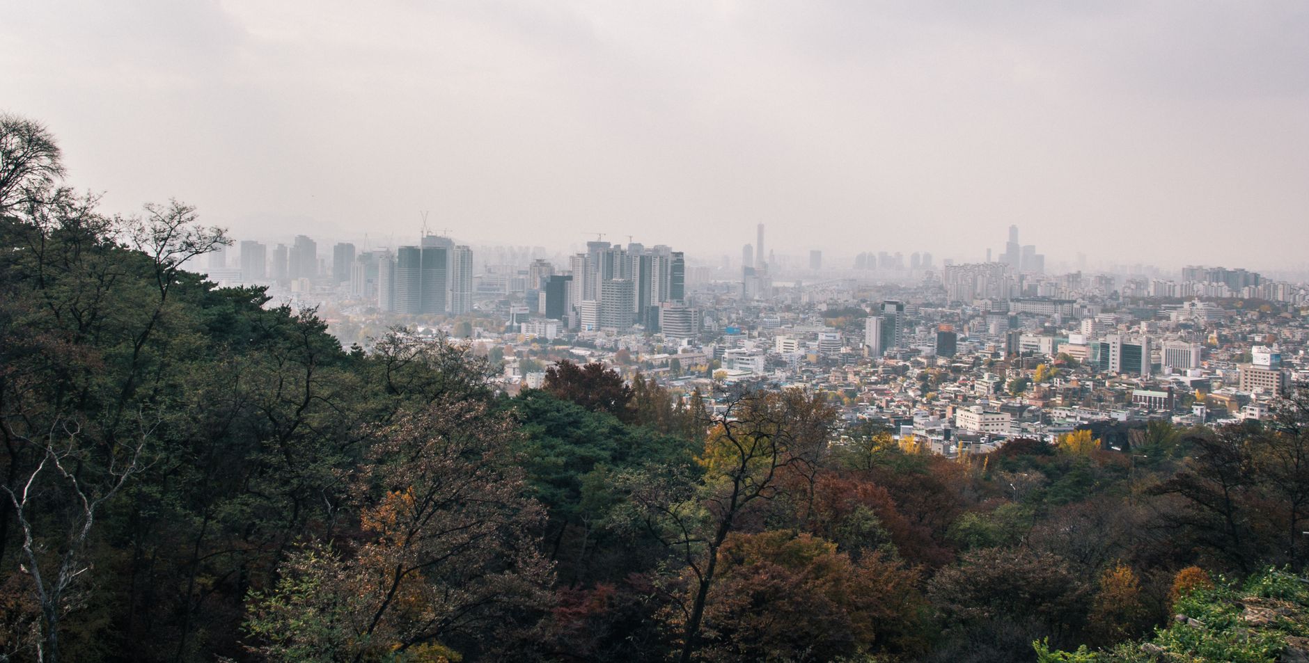 Best Hiking Trails in Seoul: Rated by Distance & Difficulty
