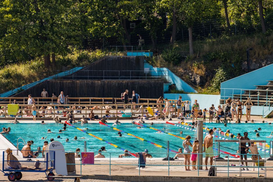 From Pool to Pipeline: How Grassroots Groups Are Making Swimming Accessible Across New York