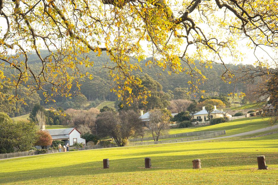First-Time Visitor's Essential Guide to Hobart's Restaurant and Bar Scene