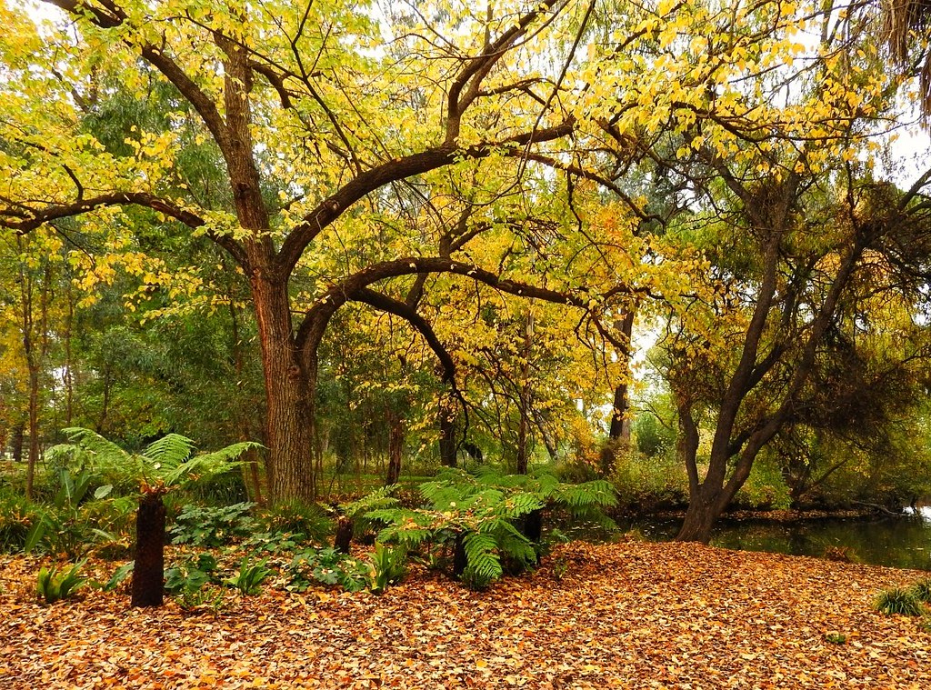 Bendigo Seasonal Activities Guide: What to Do This Winter