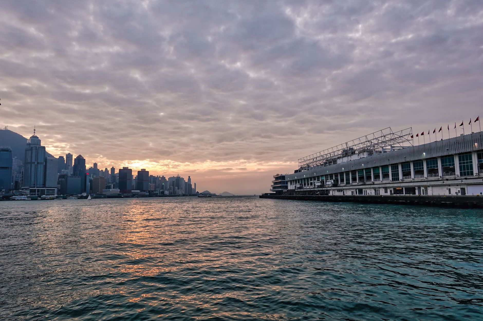 Numbers Don't Lie: What Hong Kong's Gym Membership Surge Reveals About Our Fitness Culture