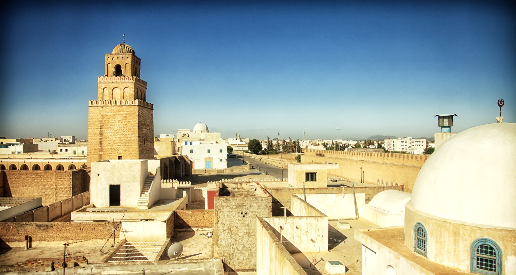 Tunis Overhauls Bus Routes, Cuts Subsidies for 2026 Services