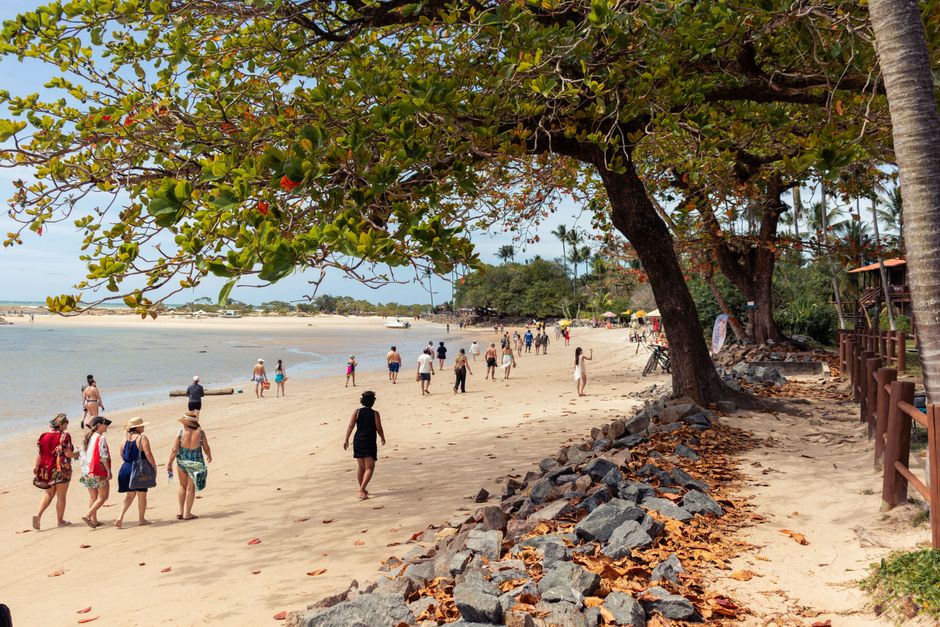 Napping in Darwin: When It Helps and When It Hurts