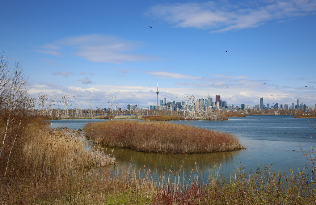 Toronto Alumni Social Club Hosts Board Game Night at Aifam Friday