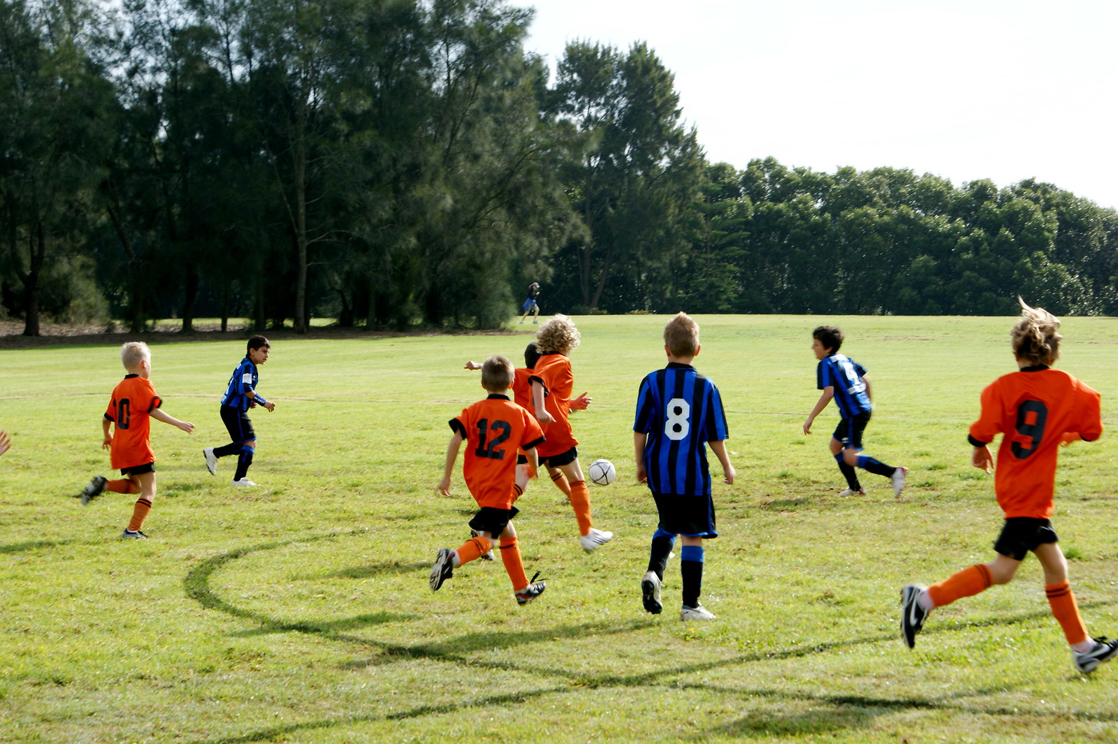 Central Coast Fitness Facilities and Sports Leagues Show Strong Community Engagement
