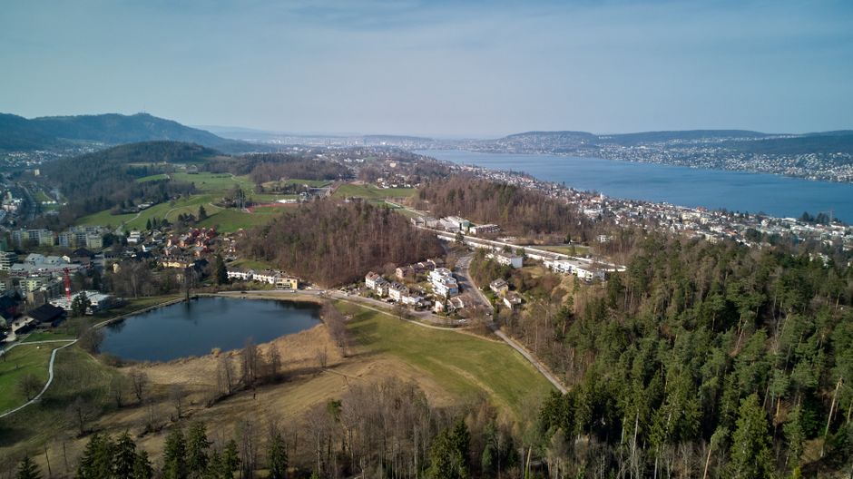 Altstetten's Quiet Rise: Why Savvy Investors Are Banking on Zurich's Overlooked West End