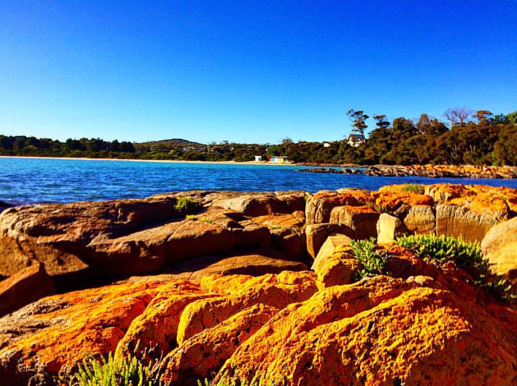 Tasmania Criminal Lawyers Shortage: Burnout Crisis Explained