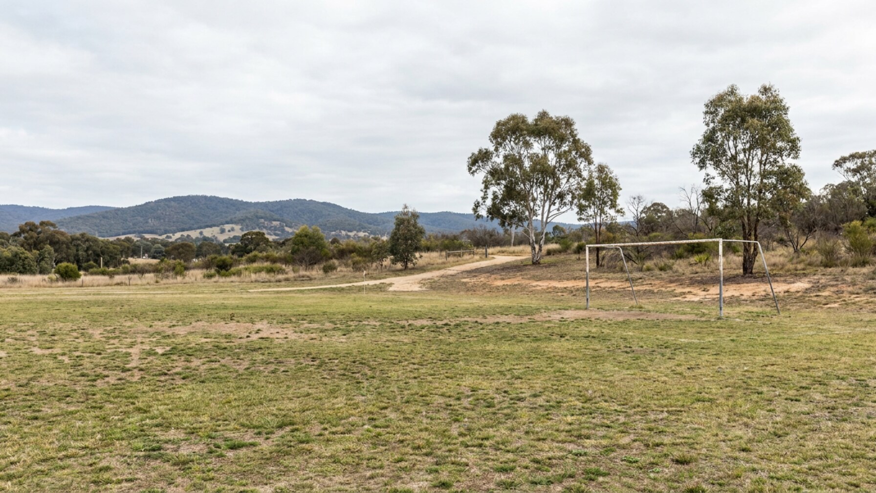 The grassroots story behind the community sport movement