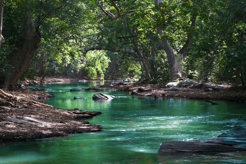 Darwin's Best Outdoor Pools and Rock Pools for Lap Swimming
