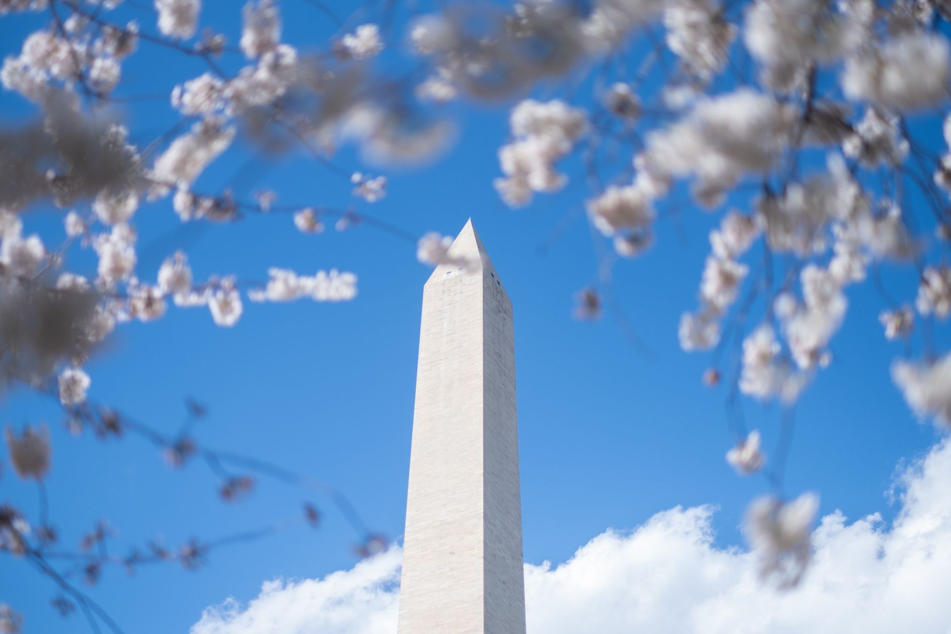 Senior Fitness Classes Washington DC: Free & Affordable Options