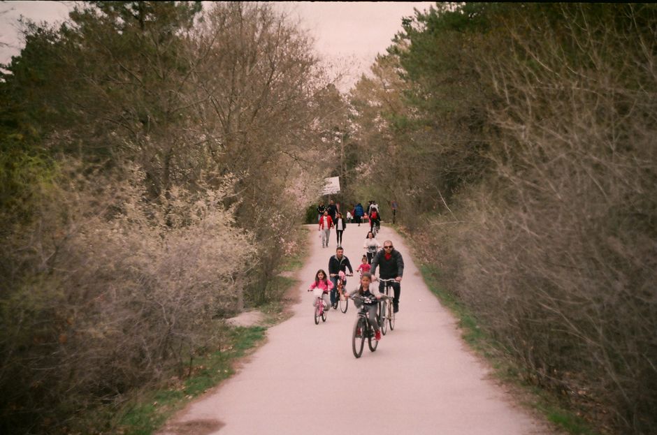 Cycling Geelong: The Rail Trails and the Routes That Explore the Region