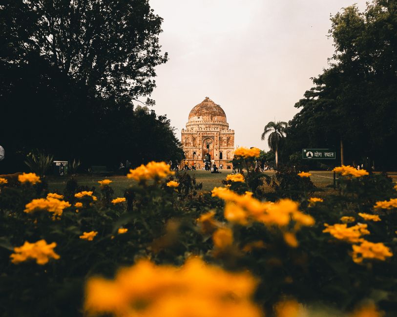 Why Delhi's outdoor running trails are backed by hard neuroscience—and what research says about exercising in open air