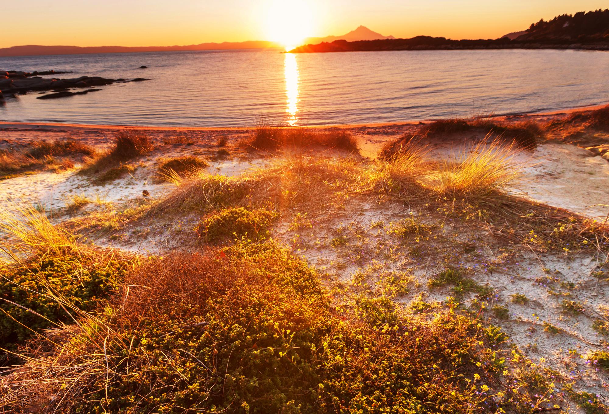 Central Coast Roundup: Latest Developments This Week