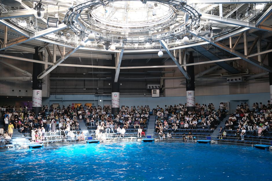 Swimming Pools Tokyo: Fitness Boom at Aquatic Centres