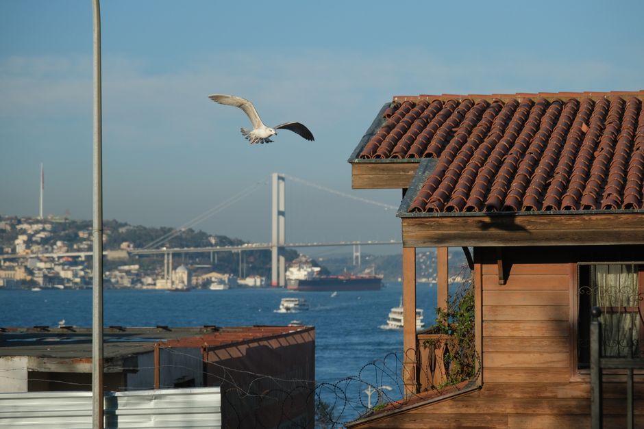 Lease Up, Rent Soaring: Istanbul Tenants Face a Summer of Scant Options