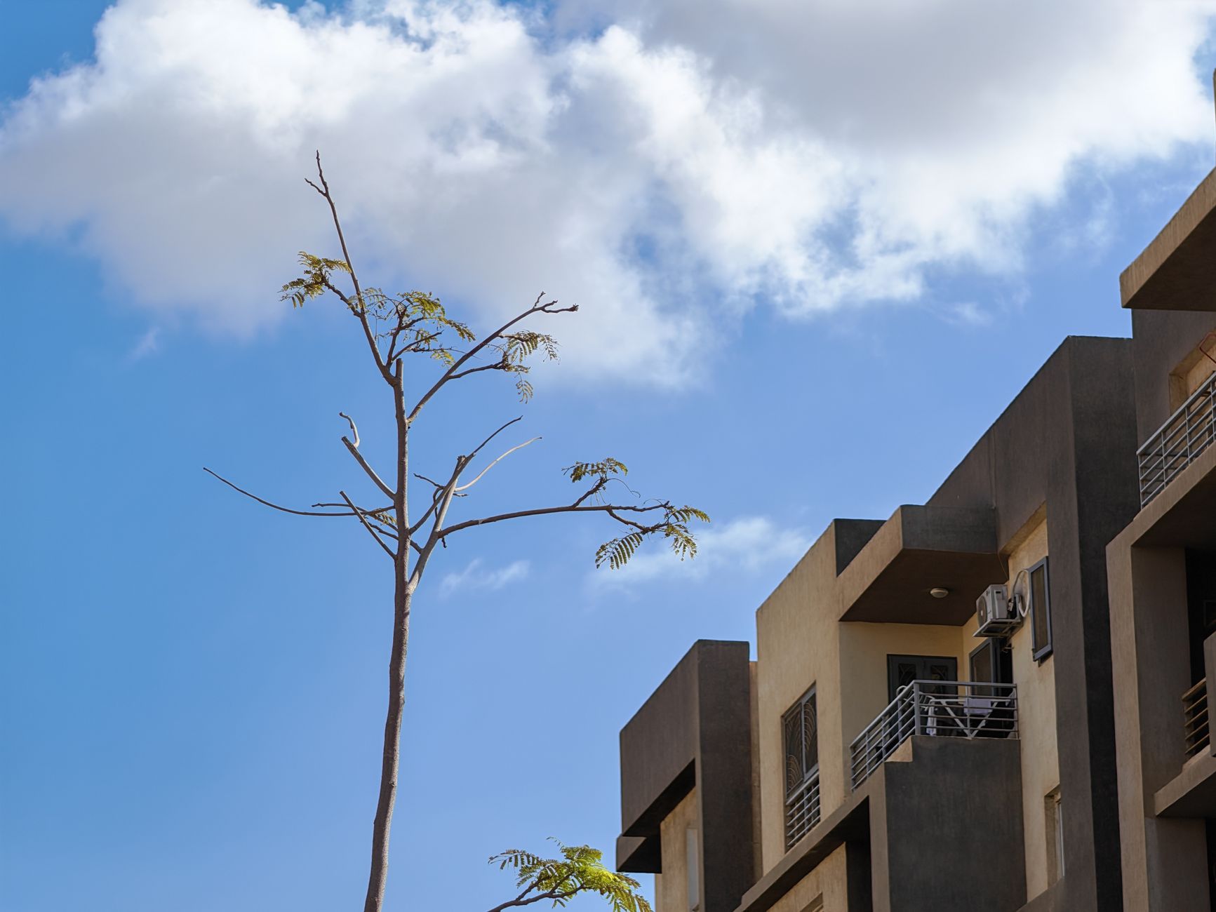 Helwan's Hidden Gold: Why Smart Investors Are Banking on Cairo's Southern Gateway