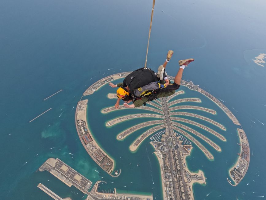 Dubai's Aquatic Centres Dive Deep into Inclusive Swim Programs for Every Generation