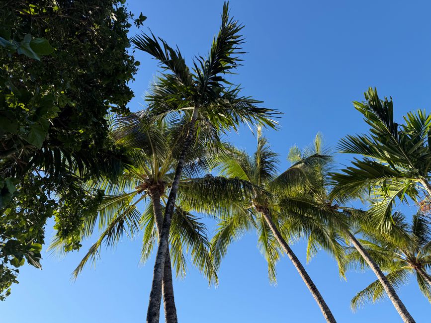 Cairns Council Fixes Chaotic Image Archive Costing Ratepayers Thousands
