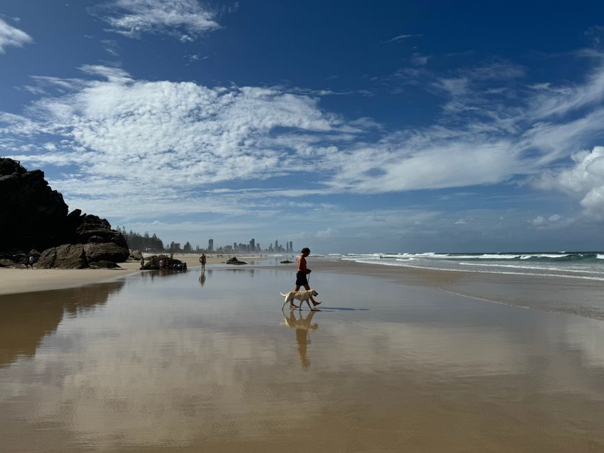 Gold Coast's Top Walking Trails Rated by Distance and Difficulty