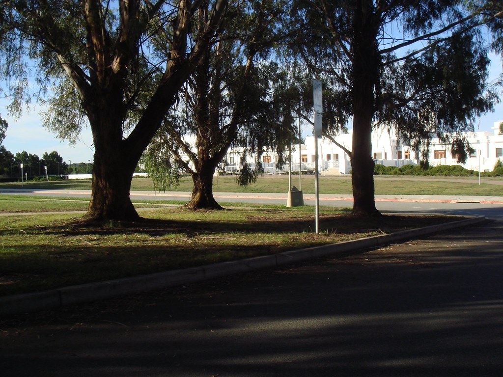 Canberra Pushes Directly Elected Mayor: Accountability Gains Versus Rising Costs