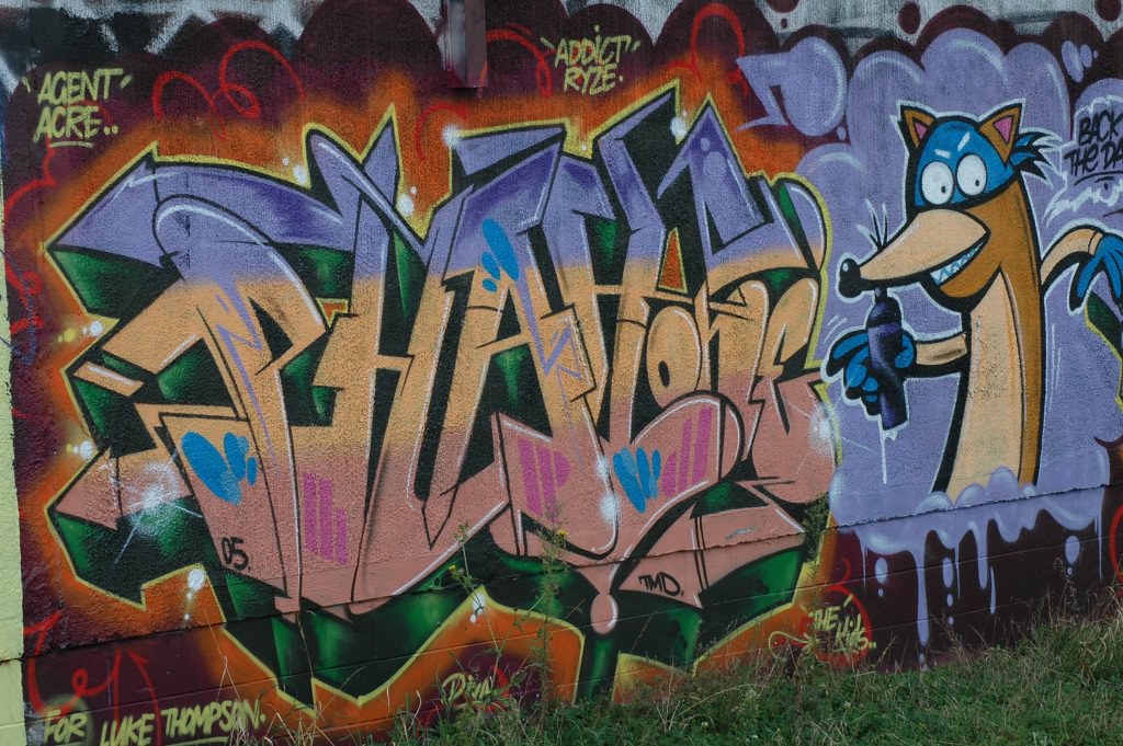 Street Art and Murals are Shaping Auckland’s Cultural Identity