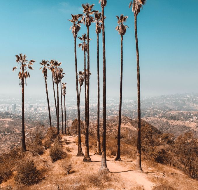Where to Find the Best Parkrun Near You in Los Angeles