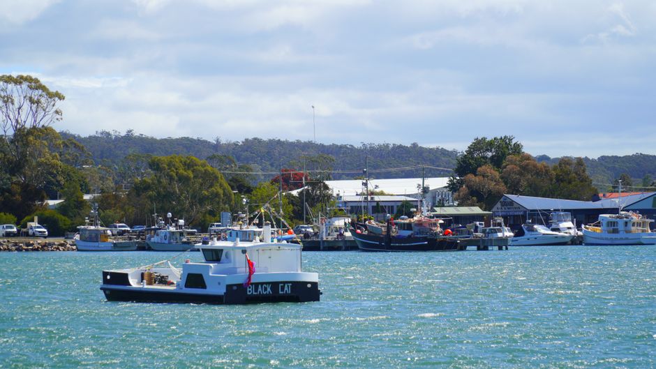 Why Tasmania's Clean Energy Tech Scene Stands Apart on the World Stage
