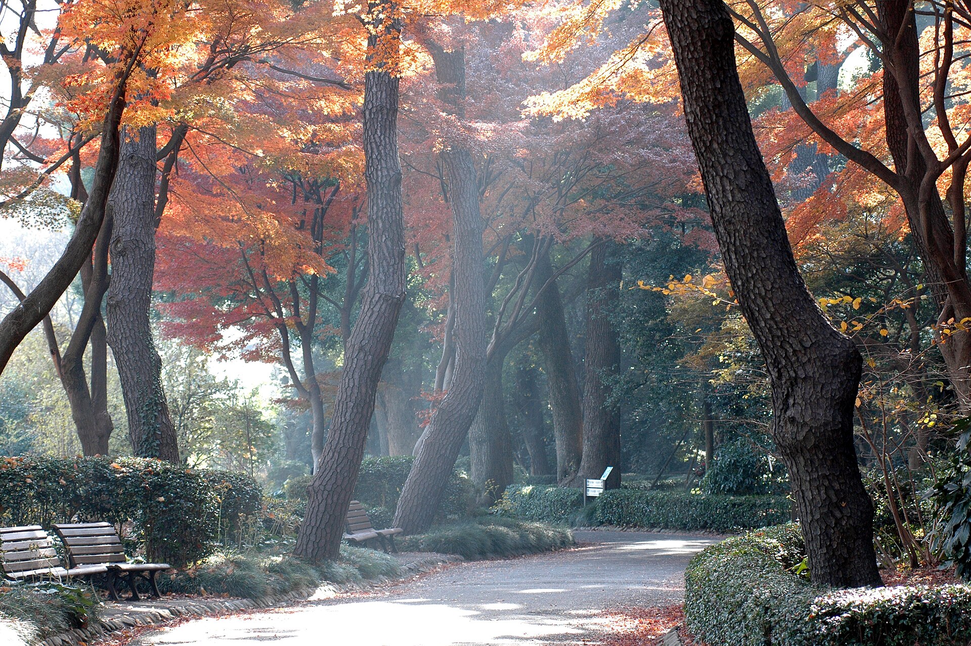 Tokyo Offers 50+ Must-See Attractions and Events for 2026 Visitors