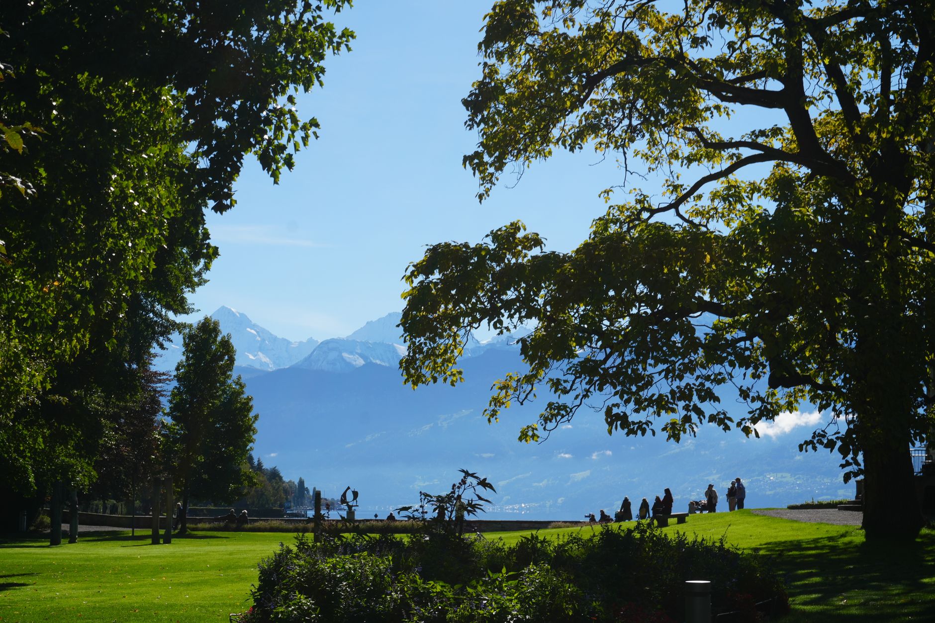 Zurich Startups Raised Nine-Figure Exits, Attracting Major Venture Capital