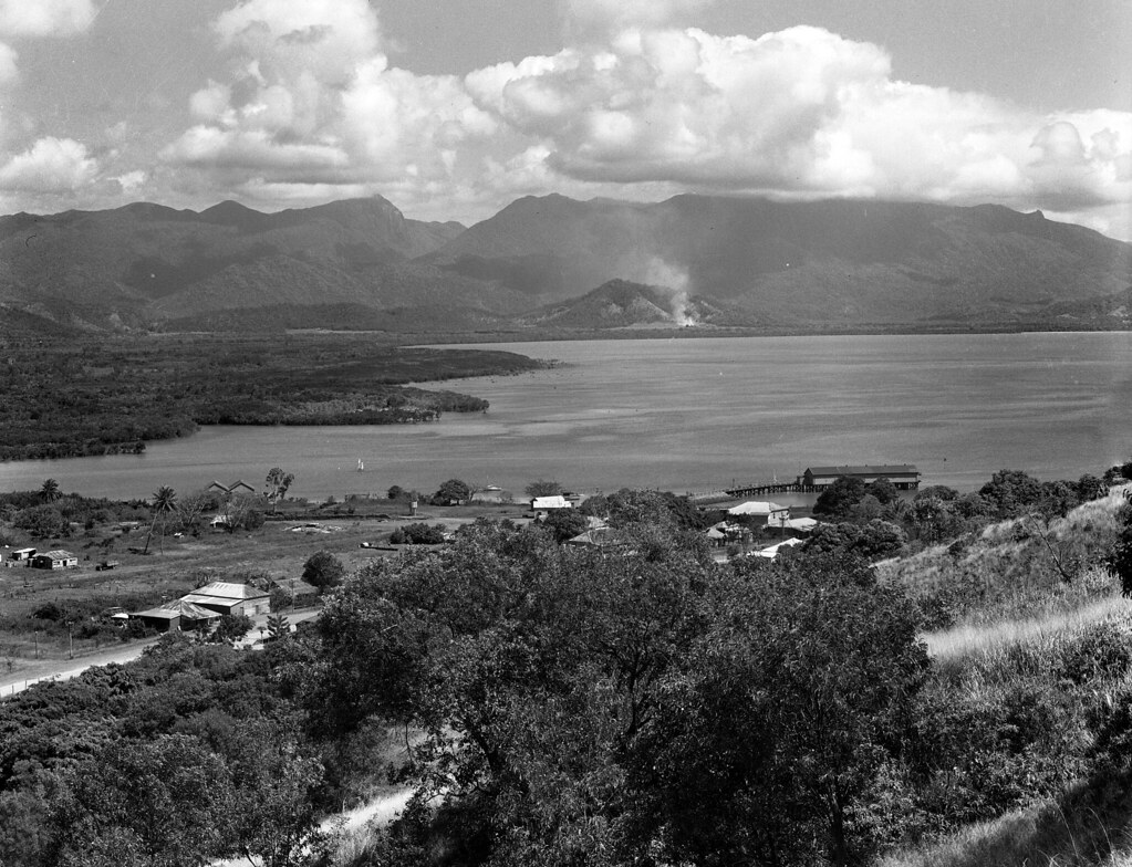 The Daintree: Where the Rainforest Meets the Reef