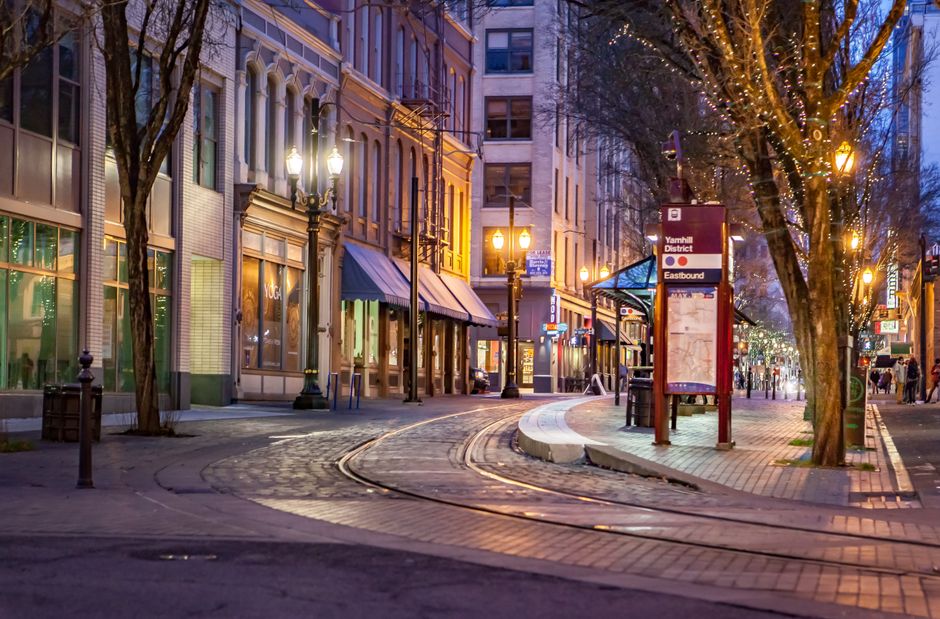Mossy Logic: Portland's Pearl District AI Startup Solves Supply Chain Problems