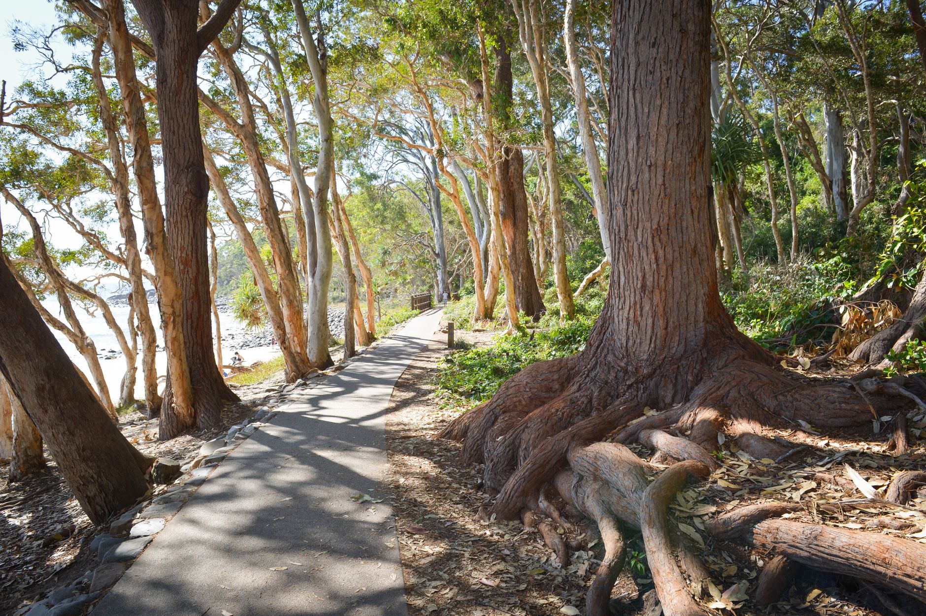 Sunshine Coast Council Maps 12 Walking Trails by Difficulty Level
