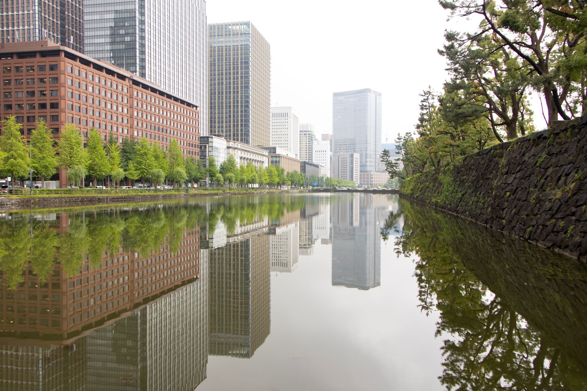 Tokyo's Tech Boom Faces Reckoning: Innovation's Hidden Costs Come Into Sharp Focus