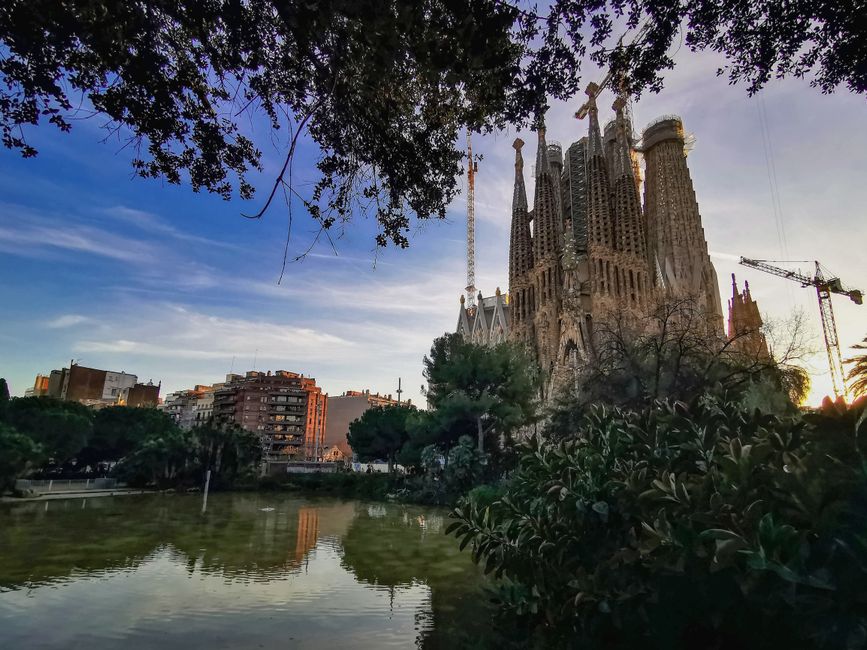 Complete guide to the best local experiences in Barcelona right now