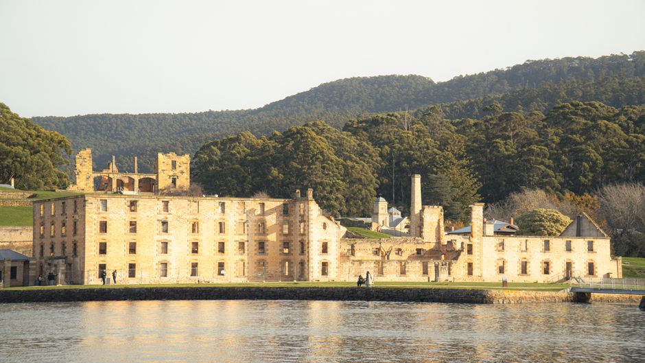 Tasmania's Cybersecurity Boom: VCs Are Pouring Millions Into Digital Safety Startups