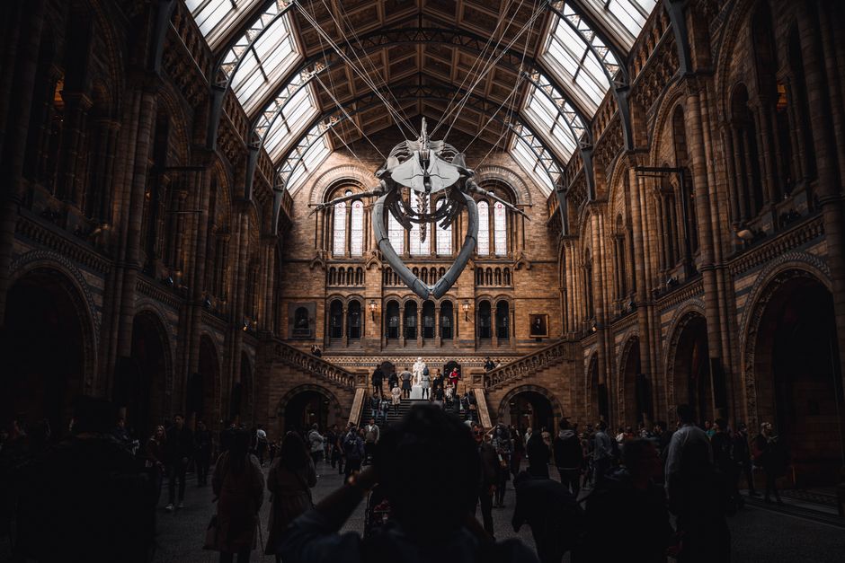 London's Living Archives: How Reclaiming Local History Is Reshaping the City's Creative Soul