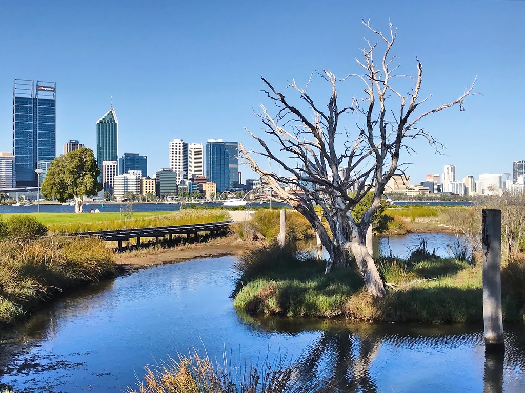 Runners Discover Perth's Top 3 Routes Across Parks and Beaches