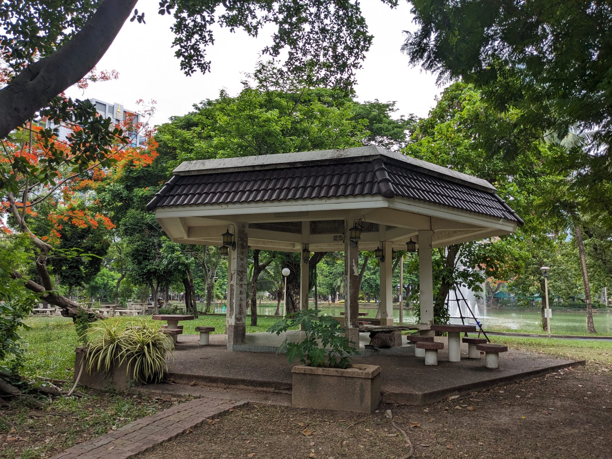 Bangkok Wellness Resources: Local Fitness Trends and Practical Information for Residents