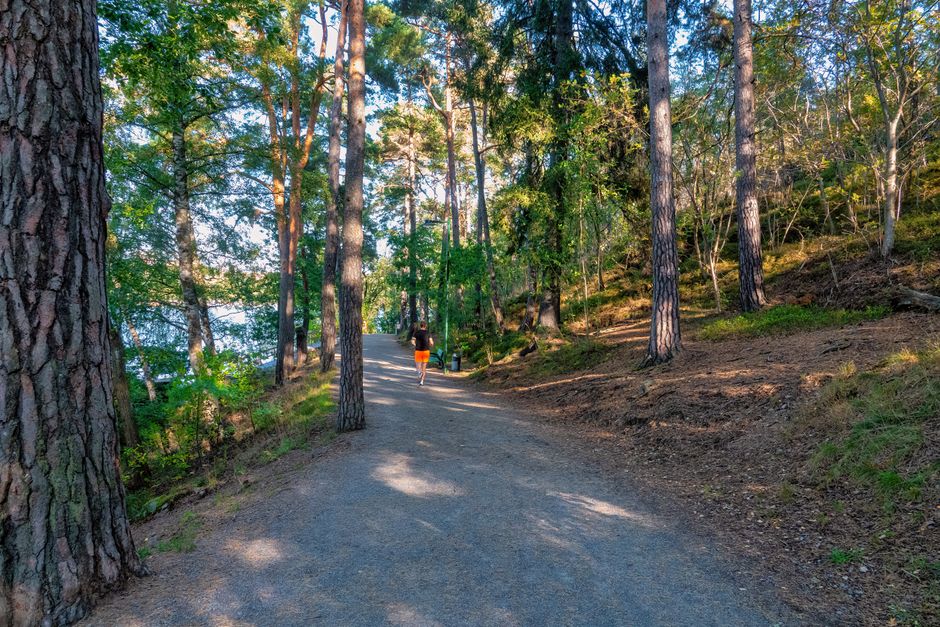Top Walking Trails Rated by Distance and Difficulty