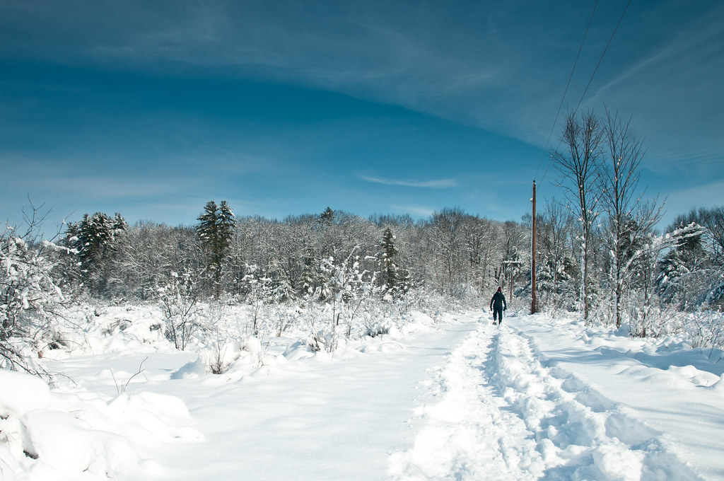 Durham Ranks 12 Walking Trails by Distance and Difficulty This Summer
