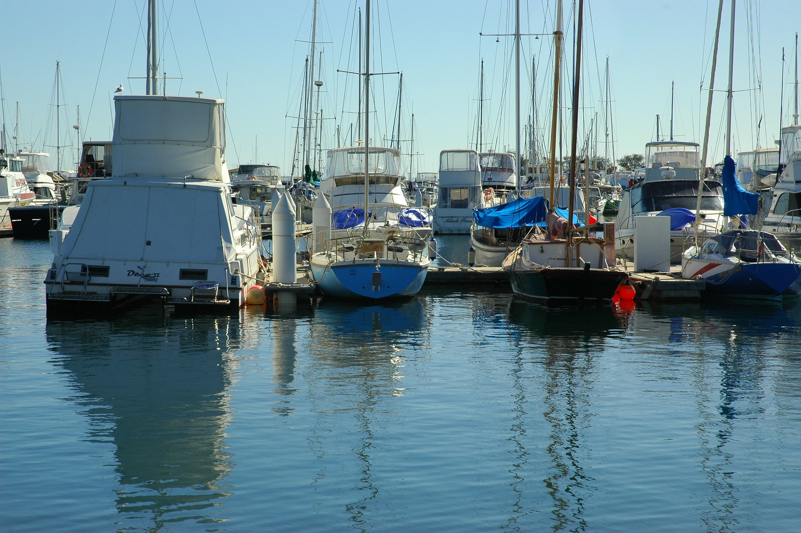 Explore Western Australia's Marine Life at AQWA Aquarium