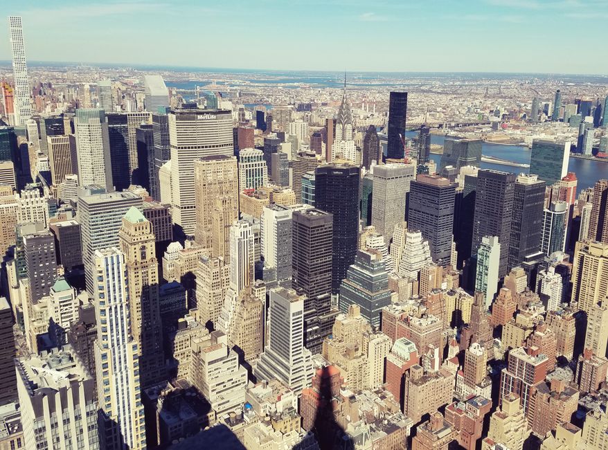 New York's Sleep Crisis: How Global Wellness Trends Are Finally Taking Root in the City That Never Sleeps