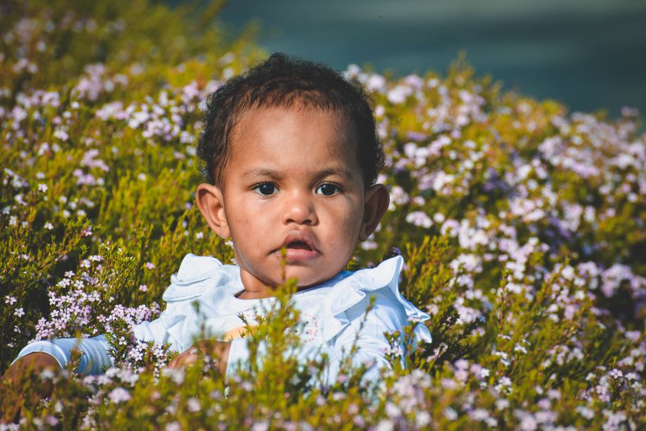 Canberra with kids: a guide to the best family days out