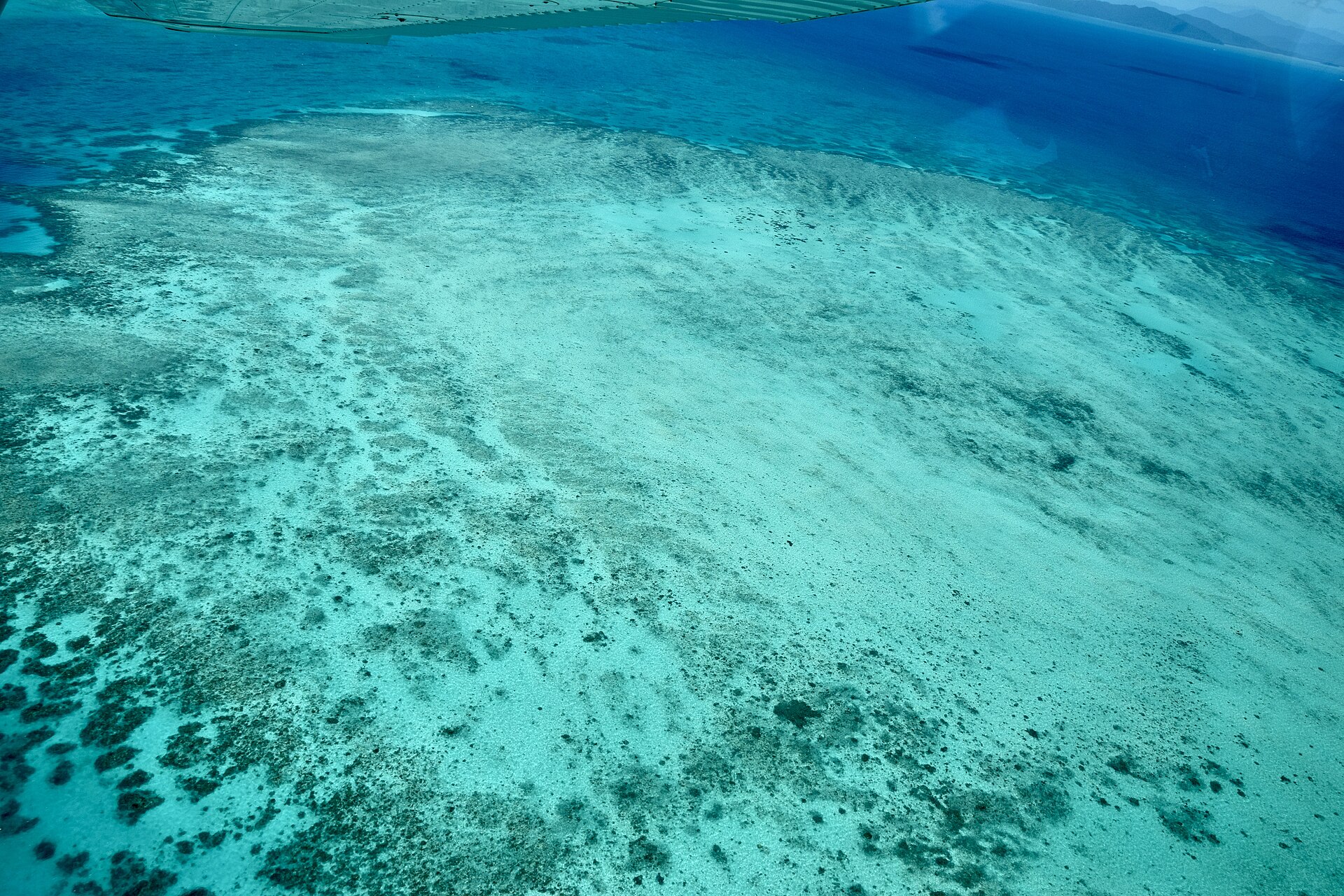 Cairns Lets You Explore Two UNESCO World Heritage Sites in One Trip
