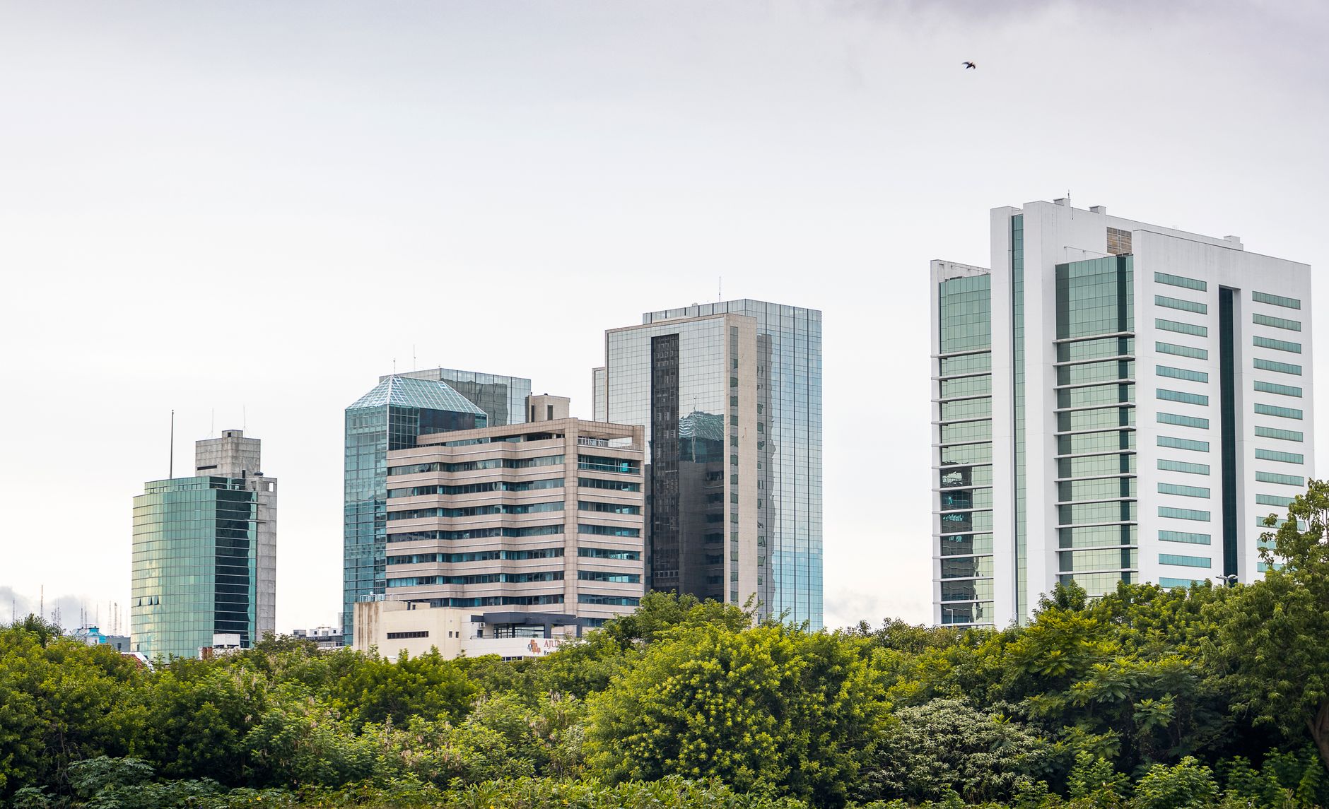 Nairobi Officials Launch Ambitious Green Plan to Cut Emissions, Expand Parks