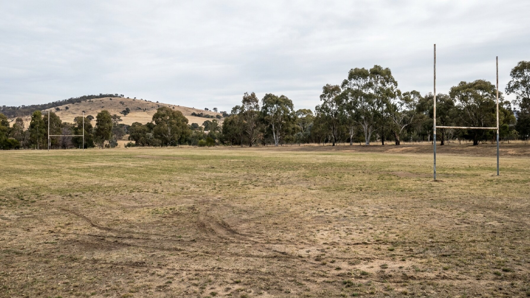 Bush Capital Marathon Festival Breaks Down Canberra July Running Calendar